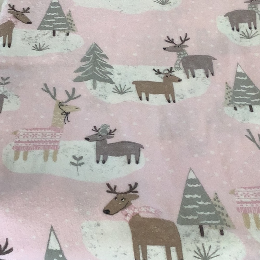 Pottery Barn Kids Winter Reindeer Flannel Duvet and Two Shams